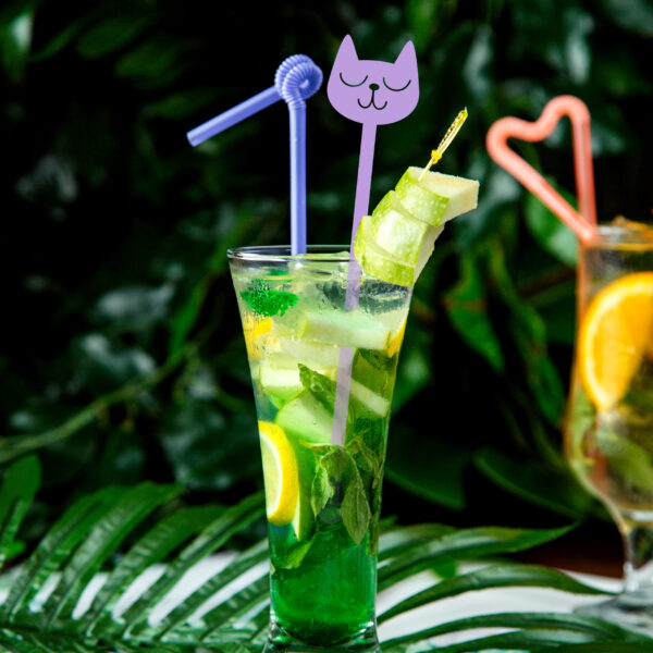 mojito cocktail with apple slices on top